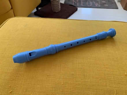 Photo of free Kids Recorder (Wood Street Village GU3) #1