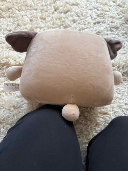 Photo of free Squishimi teddy (Carshalton) #3