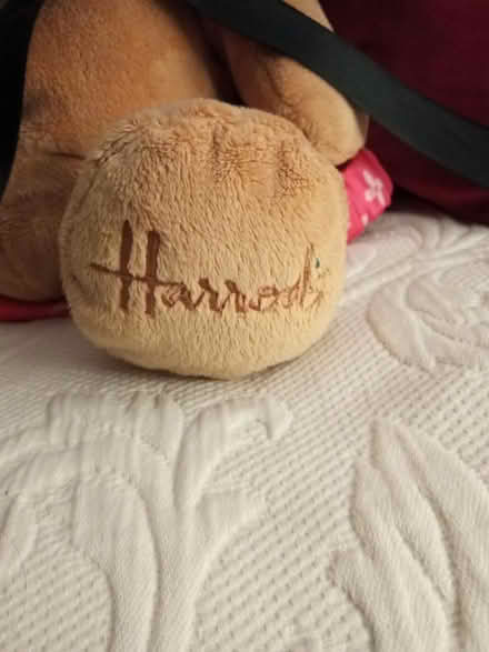 Photo of free Teddy Harrods (Locksmith BR6) #2
