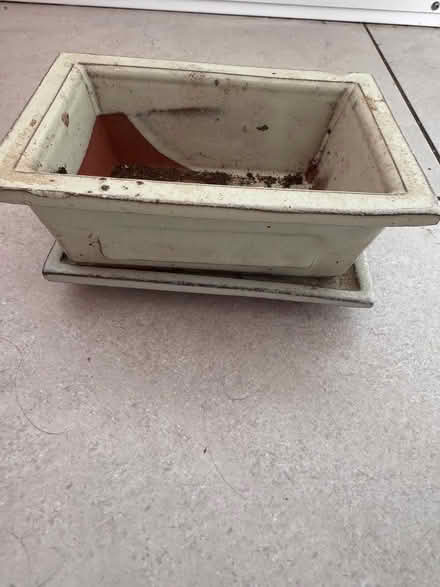 Photo of free Plant pot (CR7) #1