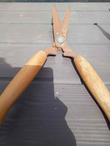 Photo of free Garden shears (St. Leonards-on-sea TN38 0EH) #1