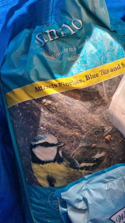 Photo of free Bird food (Weston Park BA1) #1