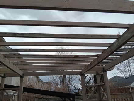 Photo of free Wood Pergola Structure (l1k ob5) #3