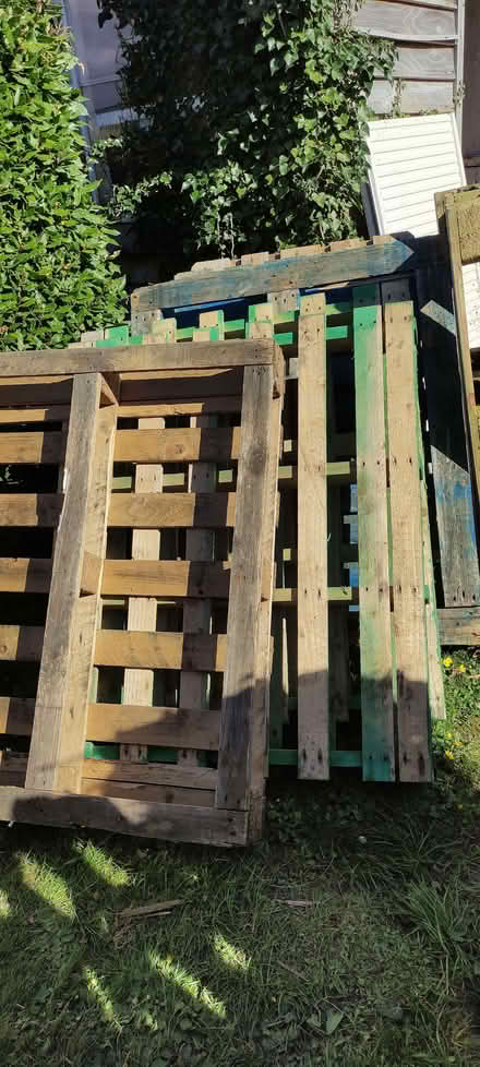 Photo of free Lots of wooden pallets (Willingdon BN26) #3