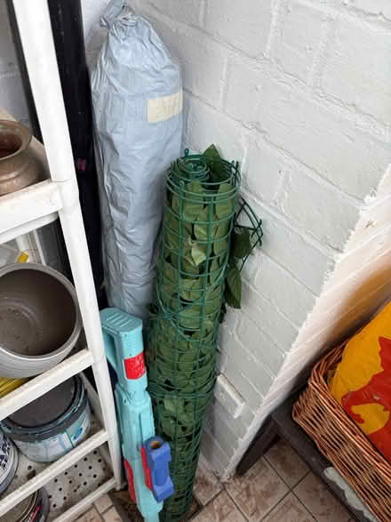 Photo of free to go ivy privacy screen (Hackney Central E8 1HY) #1