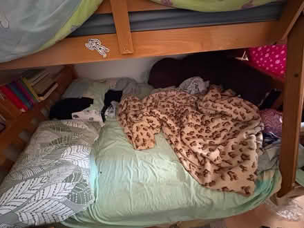 Photo of free Double bed with mattress (Cann Hall Rd E11) #2