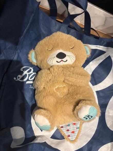 Photo of free Bedtime buddy (Chatham) #1