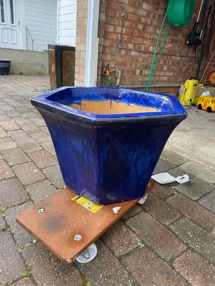 Photo of free Ceramic plant pots (Romford RM7) #3