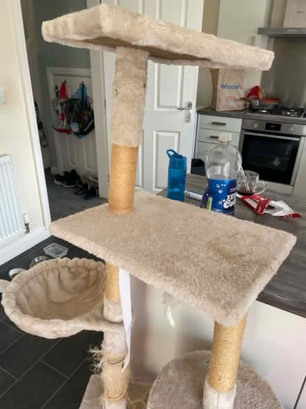 Photo of free Cat Tower (loughborough) #2