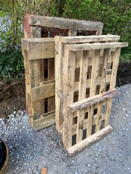 Photo of free pallets (Millfields CW5) #1