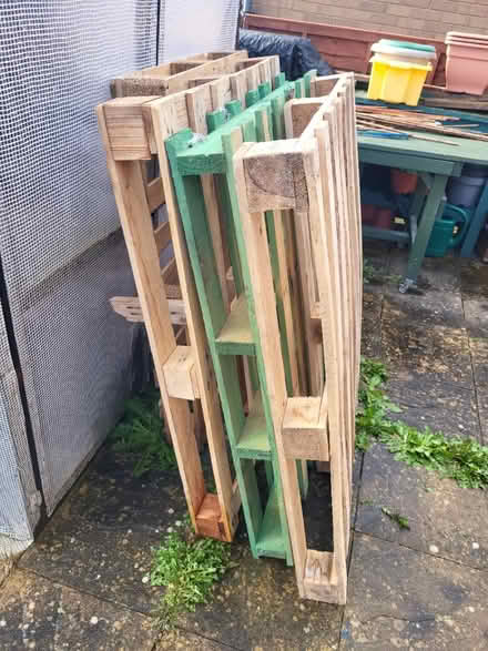 Photo of free pallets (Craven Arms SY7) #1