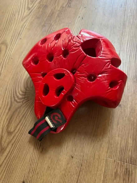 Photo of free Martial art sparring headguards (TW11, Teddington) #2