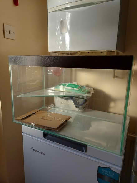 Photo of free Glass tank mesh lid for pet mice (Colchester CO7) #1