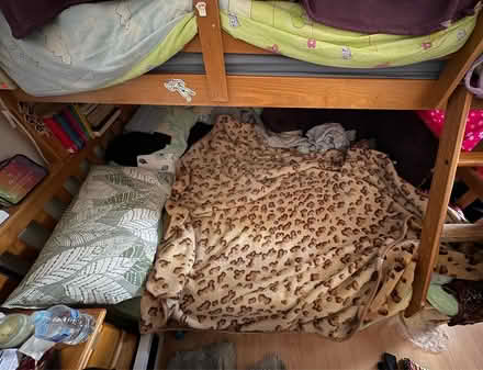 Photo of free Double bed with mattress (Cann Hall Rd E11) #1