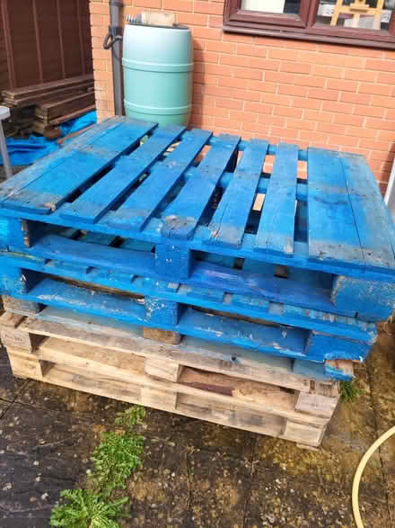 Photo of free pallets (Craven Arms SY7) #2