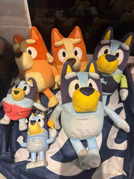 Photo of free Bluey & bingo bundle (Chatham) #1