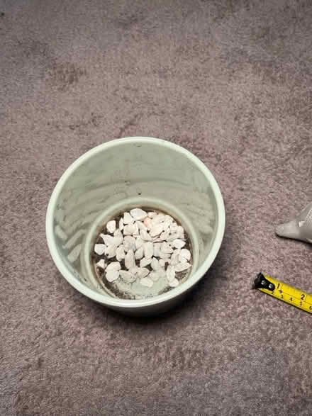 Photo of free 2x small plant pots (Archway N19) #3