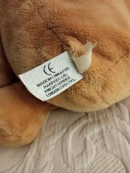 Photo of free Teddy Harrods (Locksmith BR6) #3