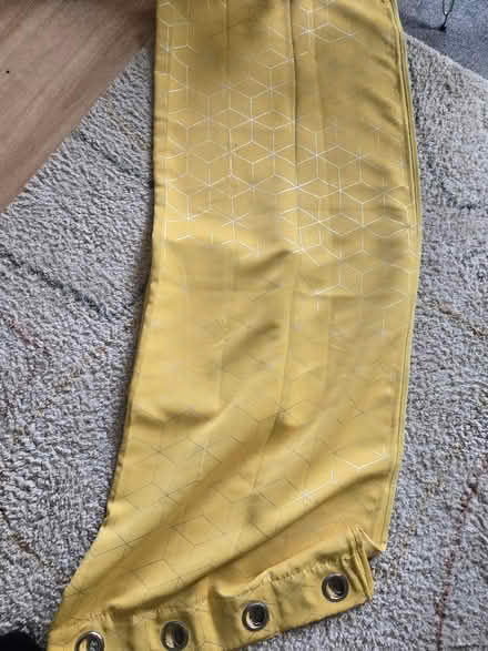 Photo of free Blackout Curtains (Hackney Downs E8) #3