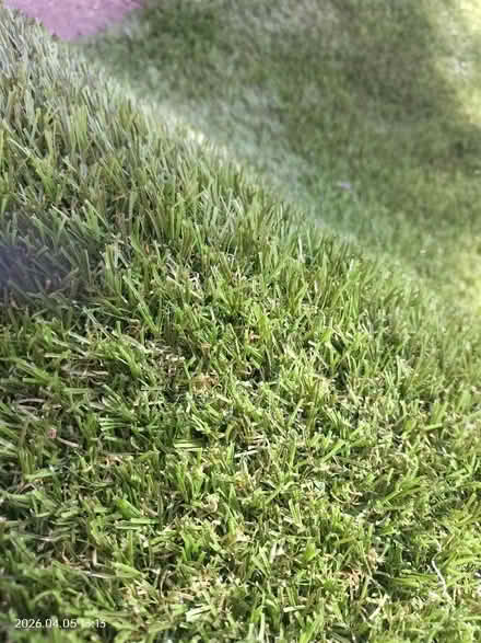 Photo of free Fake grass (West Oxfordshire OX28) #3