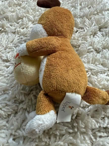 Photo of free Kipper teddy (Carshalton) #2