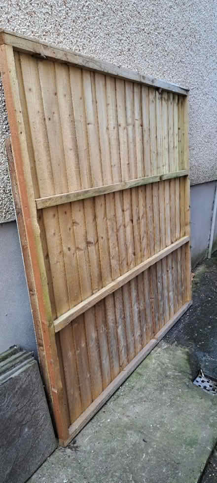 Photo of free Fence panel (Risca, NP11) #1