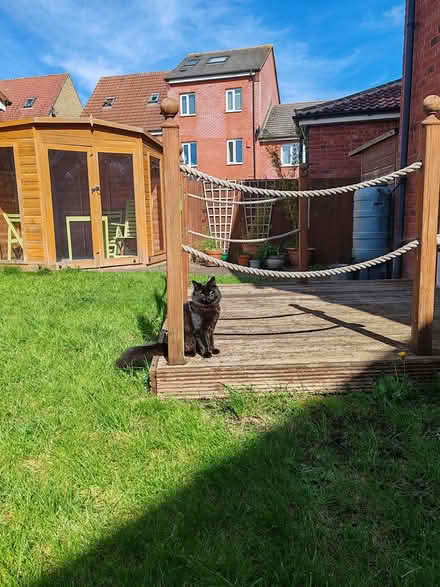 Photo of free Garden Deck (Hilperton BA14) #1