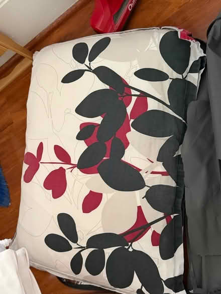 Photo of free Throw pillows (Near Lincoln Park) #2