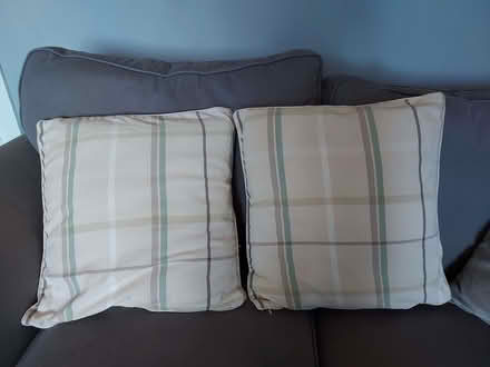 Photo of free 2 x Next Cushions (Whitchurch CF14) #1