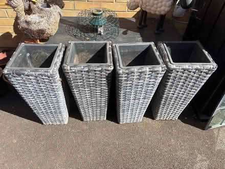 Photo of free 4 x tall plant pots (Dunton SG18) #1