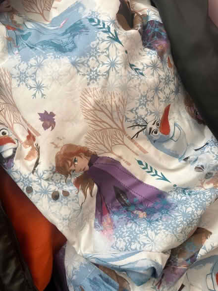 Photo of free Frozen curtains and bedsheets (Tidbury Green B90) #1