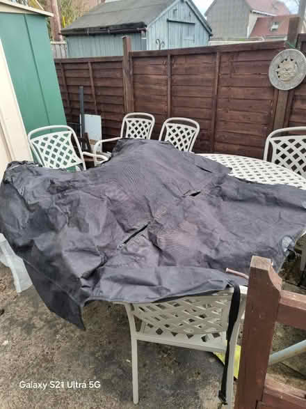 Photo of free Dog car protector (Steventon OX13) #2