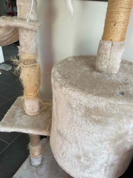 Photo of free Cat Tower (loughborough) #3