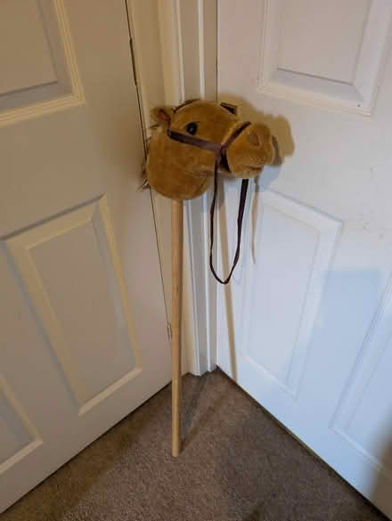 Photo of free Hobby Horse (Colchester CO4 Parsons Heath) #2