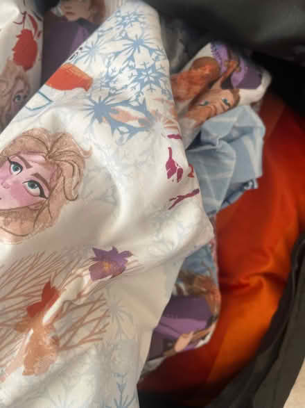 Photo of free Frozen curtains and bedsheets (Tidbury Green B90) #2