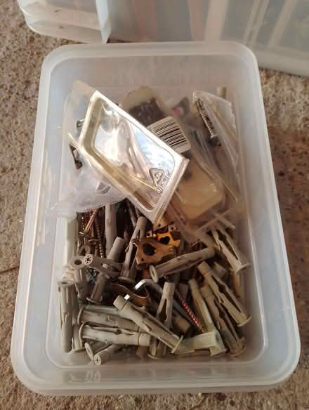 Photo of free assorted screws, Rawl plugs and picture hooks (South Woodford E18) #1