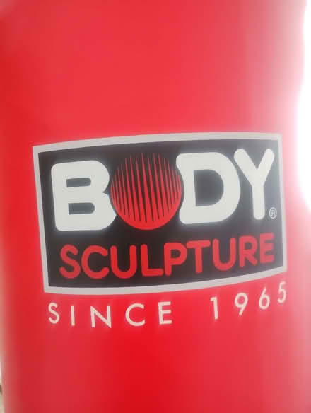 Photo of free Tall punch bag (Bishopston BS7) #3