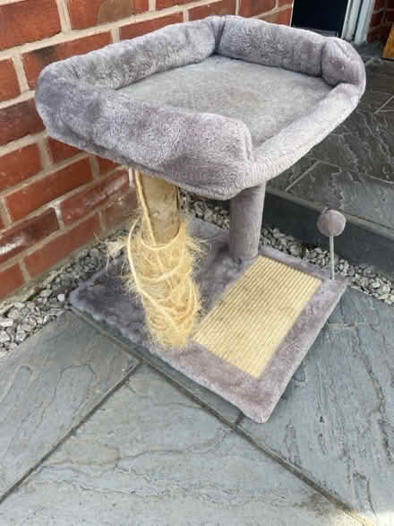 Photo of free small cat tower (loughborough) #1