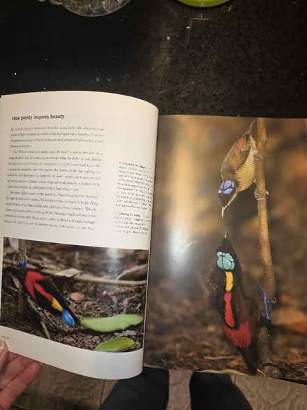 Photo of free Planet Earth II Book (Moreton CH46) #3
