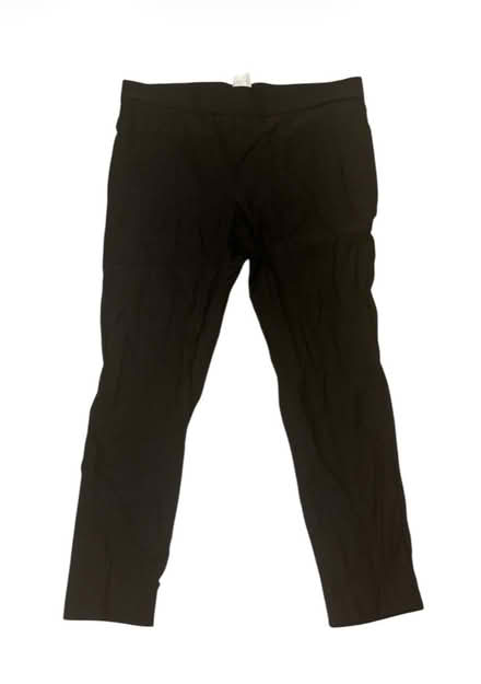 Photo of free Top Fashion Of NY Woman’s Pants (Brooklyn Storage) #1