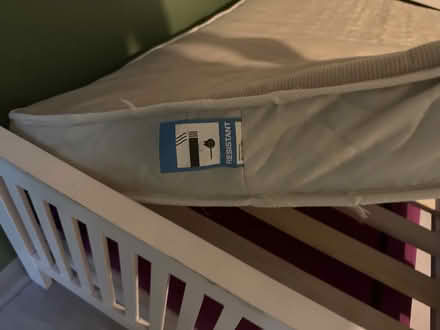 Photo of free Single trundle bed (2 single beds in one) (Hollingbury BN1) #4