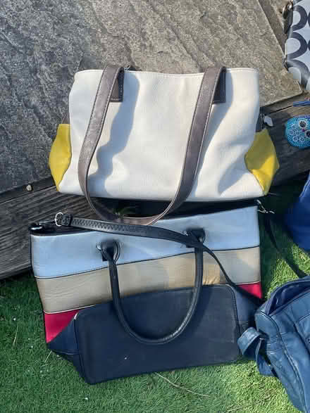 Photo of free Hand/Shopper Bags (RG30 Tilehurst) #2