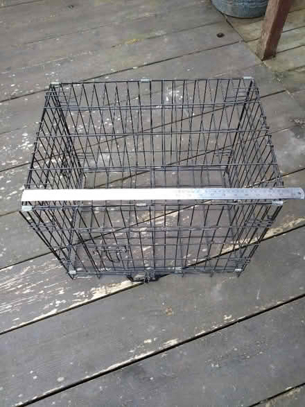 Photo of free Dog crate (Wallands Park BN7) #1