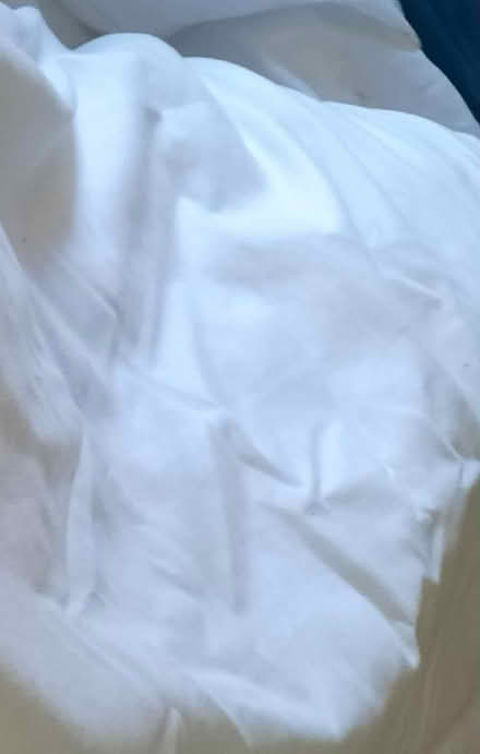 Photo of free Double Duvet 13.2 tog and two pillows (Woodley RG6) #1