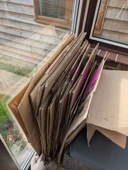 Photo of free Moving Boxes (Hailsham BN27) #1