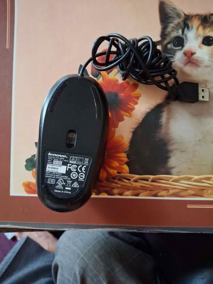 Photo of free Mouse (Chertsey KT16) #2
