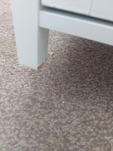 Photo of free White bathroom storage cabinet (Kimblesworth) #4