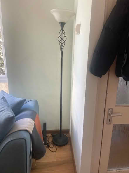 Photo of free Tall lamp - has to be leant against something (Bear Flat) #2