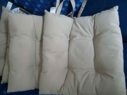 Photo of free Chair pads x 4 (Great Moor SK2) #2