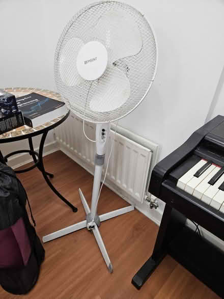 Photo of free Standing swivel fan (Clapton E5) #1